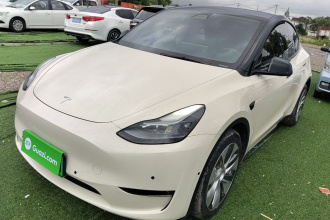 特斯拉 Model Y 2021款 标准续航后驱版
