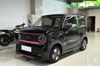 吉利银河 2024款 200km 熊猫卡丁