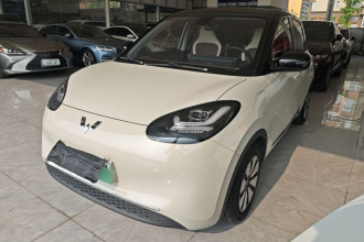 五菱汽车 五菱缤果 2023款 333km 悦享款