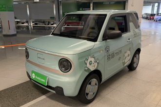 吉利银河 2023款 熊猫mini 200km 耐力熊