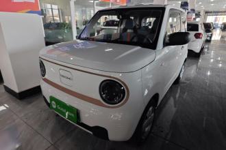 吉利银河 2024款 熊猫mini 200km 耐力熊