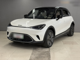 smart精灵#1 2024款 Premium版