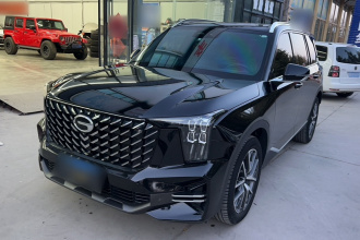 广汽传祺 传祺GS8 2022款 领航系列 2.0TGDI 两驱豪华智联版（七座）