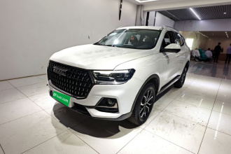 哈弗H6 2023款 国潮版 1.5T 自动都市版