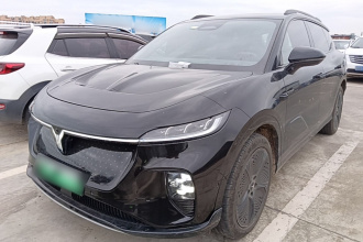 岚图汽车 岚图知音 2024款 四驱全球版