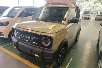吉利银河 2024款 200km 熊猫骑士