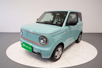 吉利银河 2024款 熊猫mini 200km 耐力熊