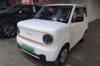 吉利银河 2024款 熊猫mini 200km 耐力熊