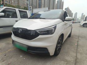 江铃集团新能源 易至EV3 2019款 酷跑版