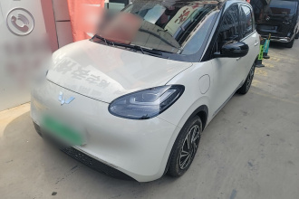 五菱汽车 五菱缤果 2024款 333km 灵犀互联款
