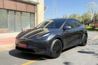 特斯拉 Model Y 2024款 后轮驱动版