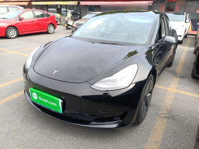 特斯拉 Model 3 2021款 标准续航后驱升级版 3D6