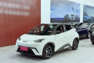 比亚迪 海鸥 2023款 飞翔版