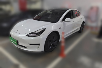 特斯拉 Model 3 2019款 标准续航后驱升级版