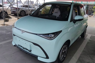 凯翼拾月 2023款 301km 追风版