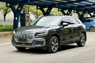 奥迪Q2L e-tron 2019款 Q2L e-tron 纯电智享型