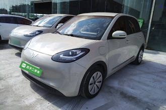 五菱汽车 五菱缤果 2023款 333km 快享款