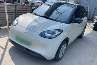 五菱汽车 五菱缤果 2023款 203km 轻享款