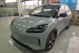 五菱汽车 五菱缤果PLUS 2024款 510km 五座版