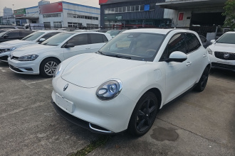 欧拉好猫 2024款 401km 豪华型