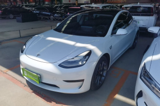 特斯拉 Model 3 2020款 标准续航后驱升级版