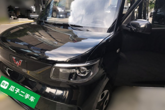 五菱汽车 五菱之光新能源 2025款 305km 进取型