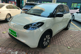 五菱汽车 五菱缤果 2024款 333km 悦享款
