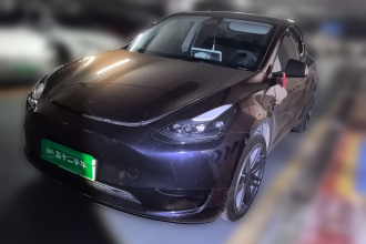 特斯拉 Model Y 2024款 后轮驱动版