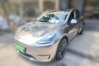 特斯拉 Model Y 2022款 Performance高性能全轮驱动版