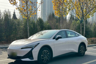 ARCFOX极狐 极狐 阿尔法S5 2024款 560PRO 185kW