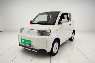 安徽猎豹 猎豹CS01 EV 2024款 实用型