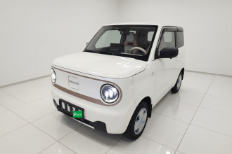 吉利银河 2024款 改款 熊猫mini 200km 龙腾版