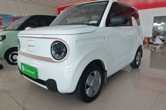 吉利银河 2024款 熊猫mini 200km 耐力熊