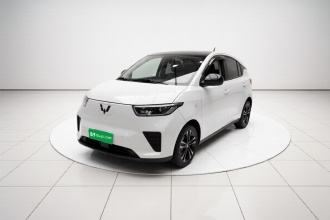 五菱汽车 五菱扬光 2024款 300km 舒适型客车版 75kW