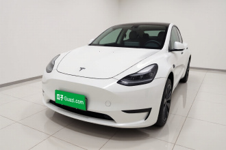 特斯拉 Model Y 2024款 后轮驱动版