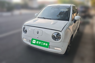 欧拉黑猫 2022款 351km 豪华型 三元锂