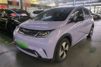 比亚迪 海豚 2023款 420km 自由版
