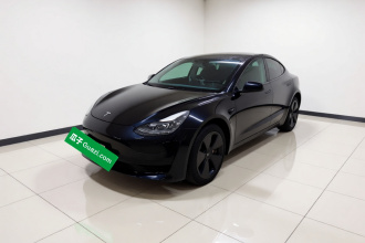 特斯拉 Model 3 2021款 标准续航后驱升级版 3D6