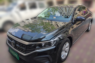 大众 帕萨特 2022款 280TSI 商务版