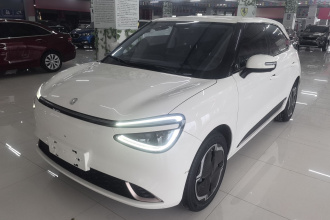 东风纳米 纳米01 2024款 330 Plus