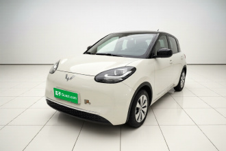 五菱汽车 五菱缤果 2023款 203km 轻享款