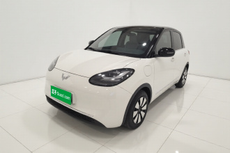 五菱汽车 五菱缤果 2023款 410km 灵犀尊享款
