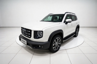 哈弗大狗 2022款 1.5T DCT两驱边牧版