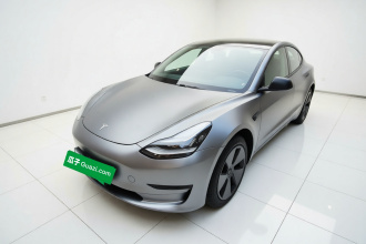 特斯拉 Model 3(进口) 2019款 长续航后驱版