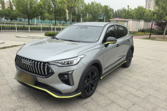 哈弗赤兔 2021款 激擎版 1.5T 铂金兔