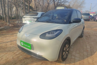 五菱汽车 五菱缤果 2024款 333km 悦享款