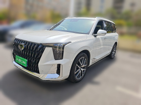 广汽传祺 传祺GS8 2022款 双擎系列 2.0TM 两驱尊贵版 （七座）