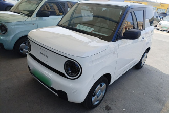 吉利银河 2024款 熊猫mini 200km 耐力熊