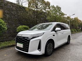 比亚迪 夏 2025款 DM-i 1.5T 180km 超越型