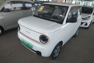 吉利银河 2024款 熊猫mini 200km 耐力熊